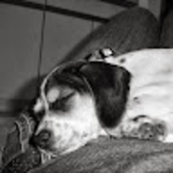 Meet your Posher, Allison - Picture 1 of 1